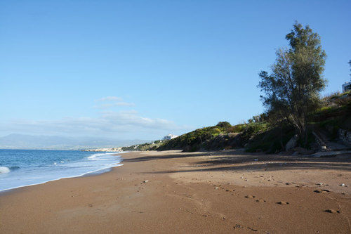 Akamas Carob Tree Villa