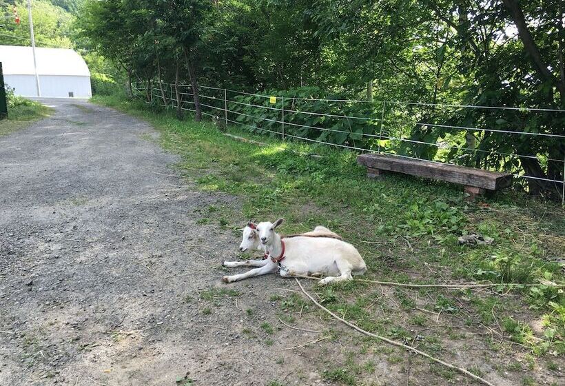 Farm Inn Dococa Farm