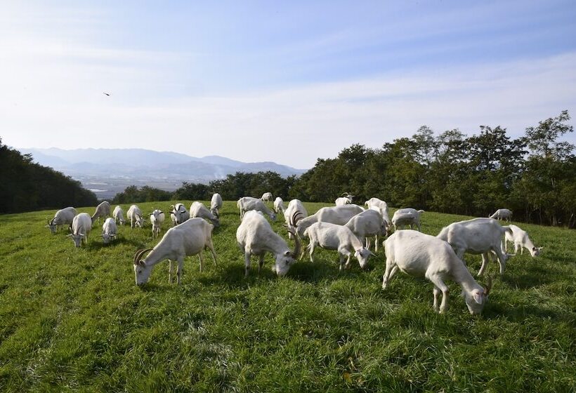 Farm Inn Dococa Farm