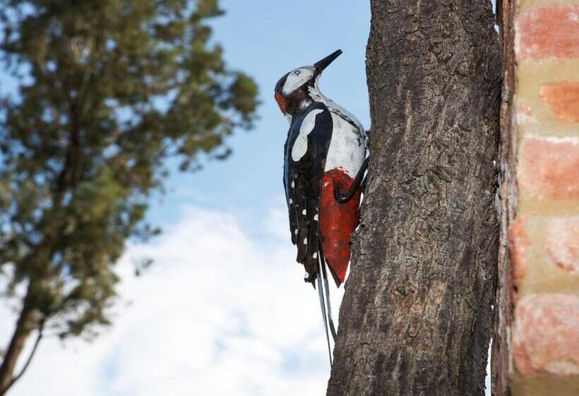 פונדק Leonardo Resort