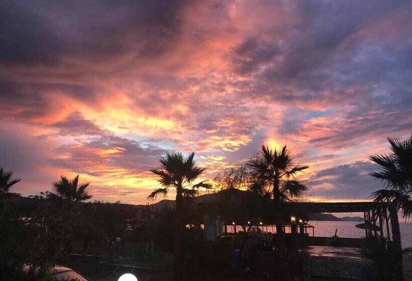 בית מלון כפרי Alba-gert