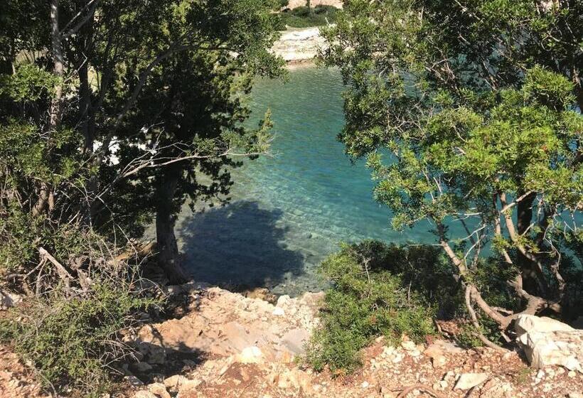 בית מלון כפרי Alba-gert