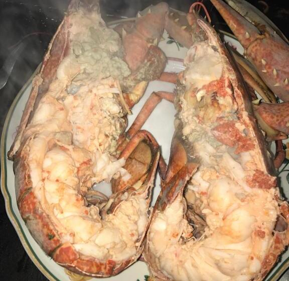 בית מלון כפרי Alba-gert