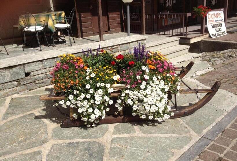 호텔 Albergo Soldanella