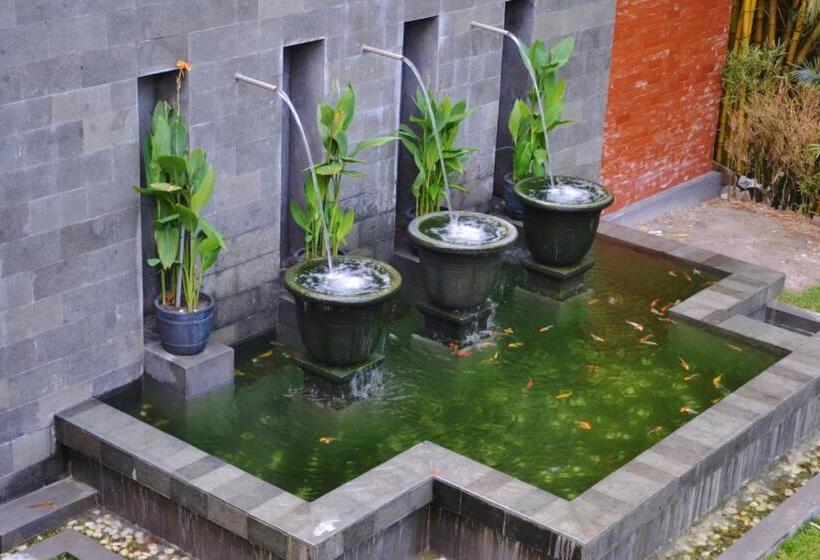 Arsela Hotel Pangkalan Bun