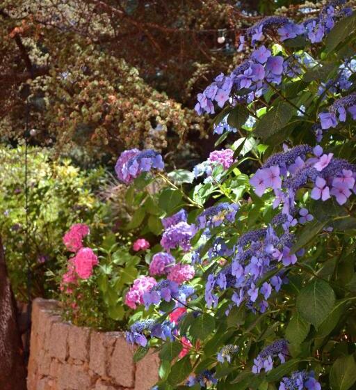 בית מלון כפרי Beau Séjour