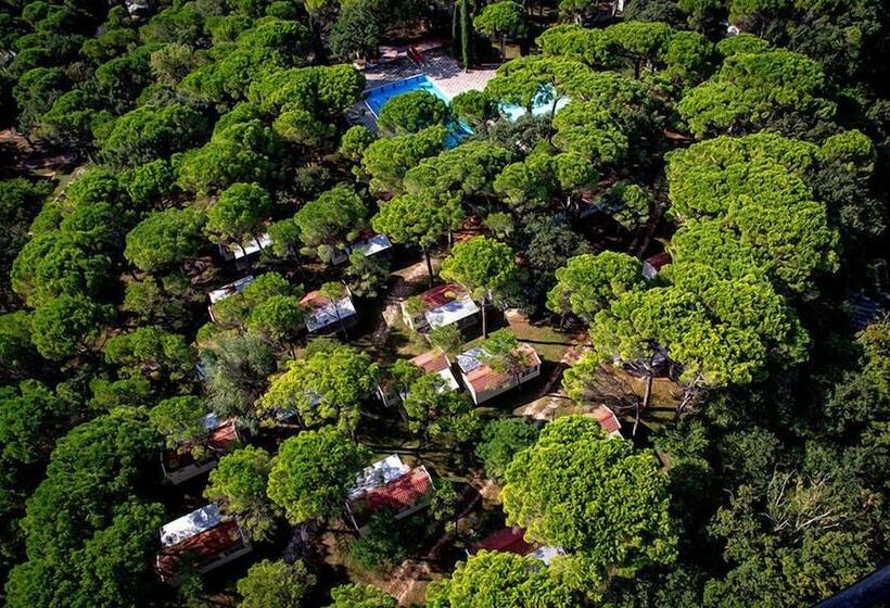 호텔 Belvedere Pineta Camping