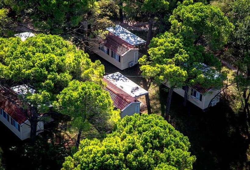 호텔 Belvedere Pineta Camping