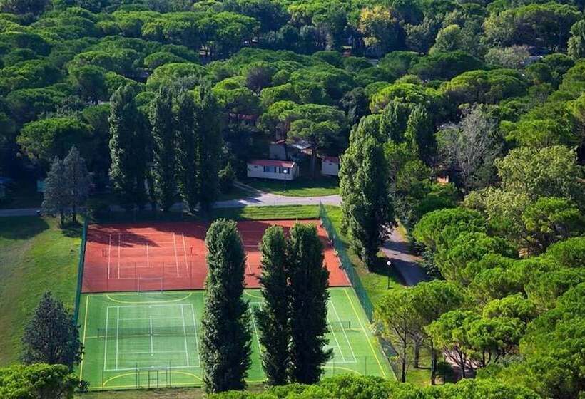 호텔 Belvedere Pineta Camping