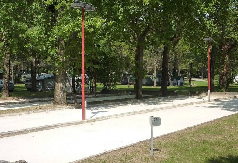 호텔 Belvedere Pineta Camping