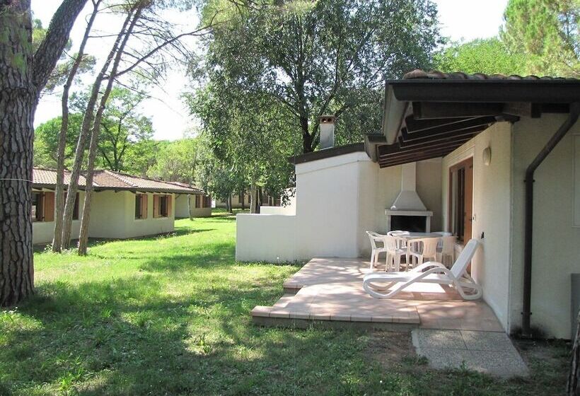 호텔 Belvedere Pineta Camping