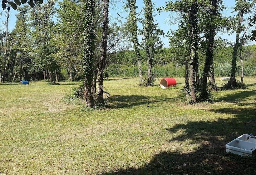 호텔 Belvedere Pineta Camping