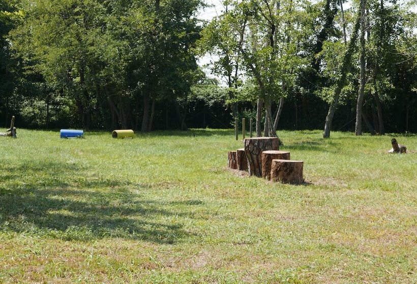 호텔 Belvedere Pineta Camping