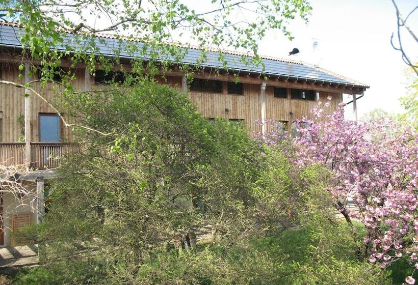 فندق Bioagriturismo Vegan Campo Di Cielo