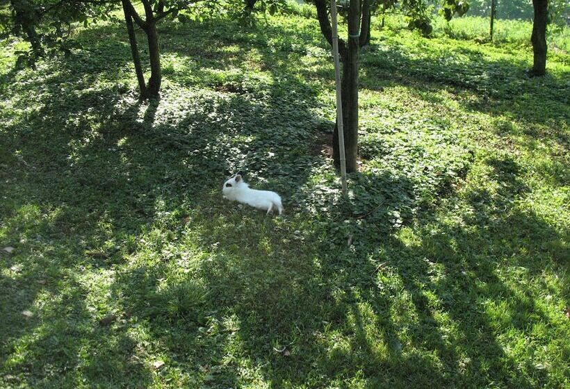 فندق Bioagriturismo Vegan Campo Di Cielo