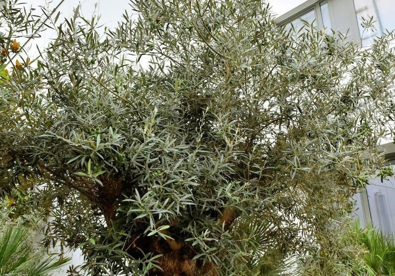 호텔 Central Park Hôtel & Spa