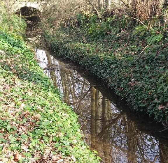 ホテル Chateau Des Chevaliers De Grand Tonne