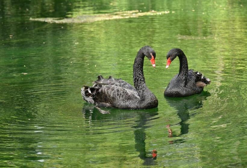 ホテル Chateau Des Chevaliers De Grand Tonne