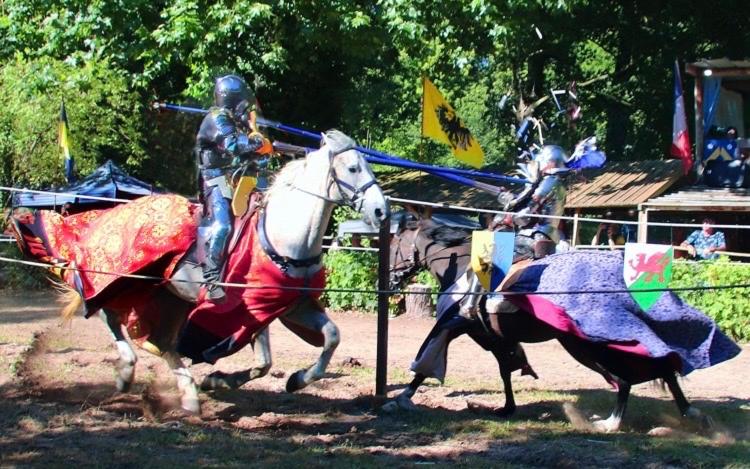 ホテル Chateau Des Chevaliers De Grand Tonne