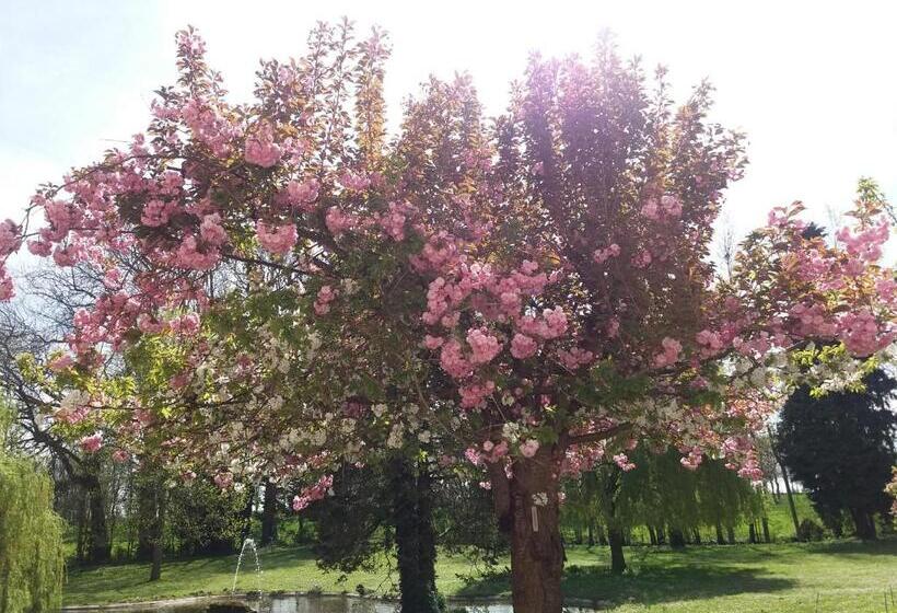 ホテル Chateau Des Chevaliers De Grand Tonne