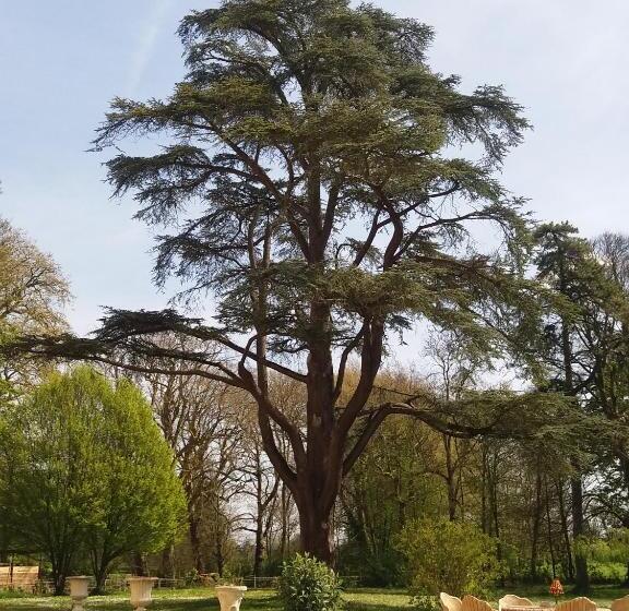 ホテル Chateau Des Chevaliers De Grand Tonne