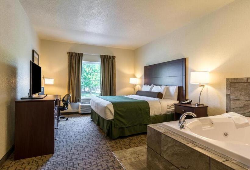 Cobblestone Hotel & Suites   Erie