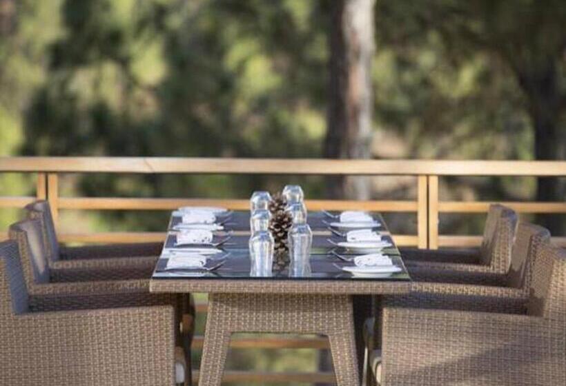 هتل Dhensa Resort