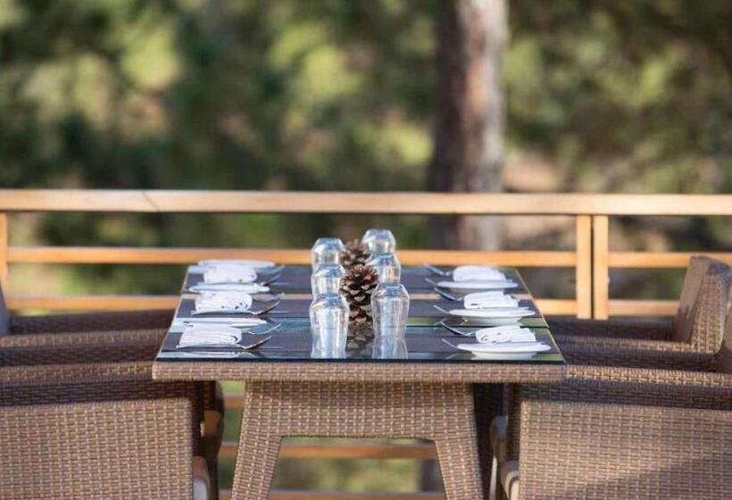 هتل Dhensa Resort