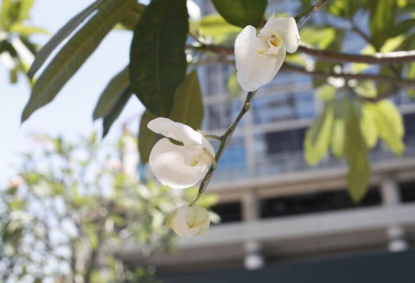 בית מלון כפרי Four Points By Sheraton Surabaya, Tunjungan Plaza