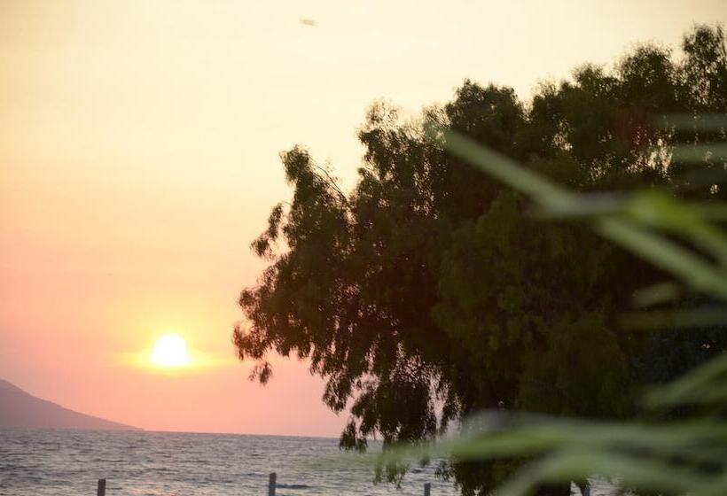 בית מלון כפרי Garden