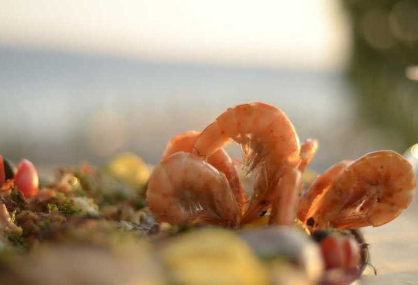 בית מלון כפרי Garden