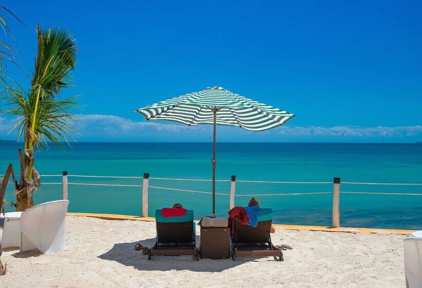 酒店 Golden Tulip Zanzibar Resort