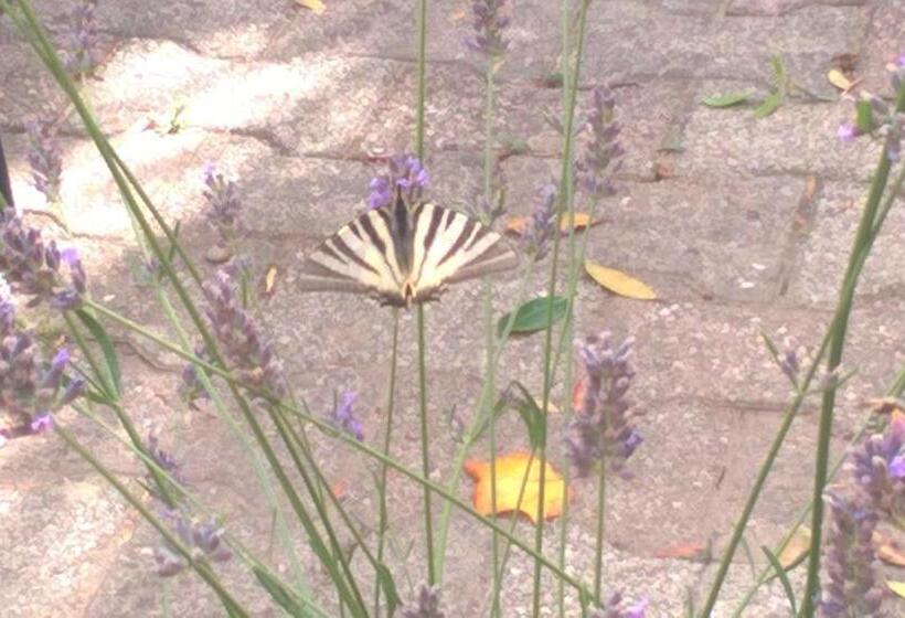 酒店 Hôtel Restaurant Douce France