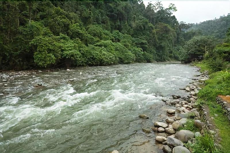 فندق Indra Valley Inn Bukit Lawang