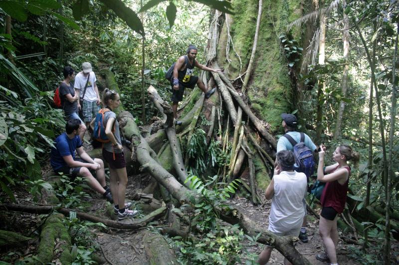 فندق Indra Valley Inn Bukit Lawang