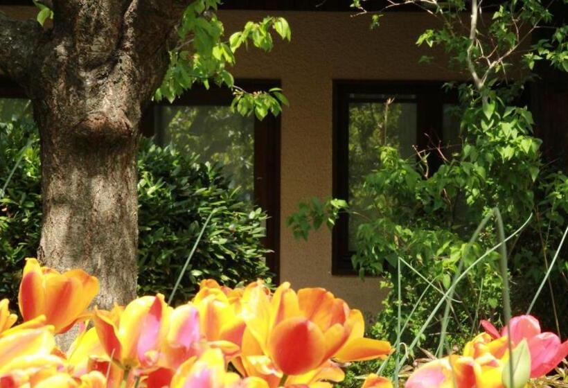 Отель La Ferme De Thoudiere