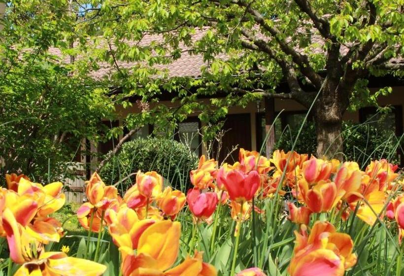 Отель La Ferme De Thoudiere