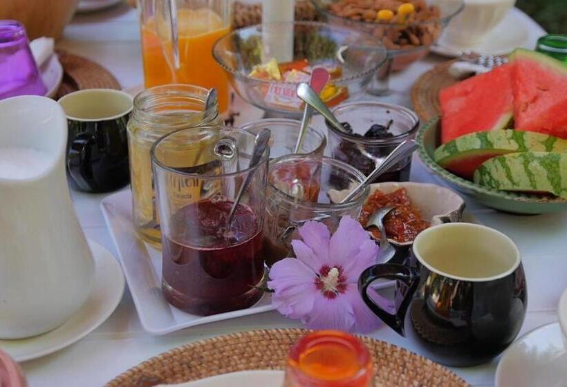 Отель La Ferme De Thoudiere