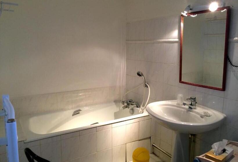 Отель La Ferme De Thoudiere