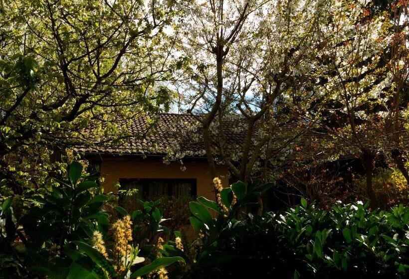 Отель La Ferme De Thoudiere