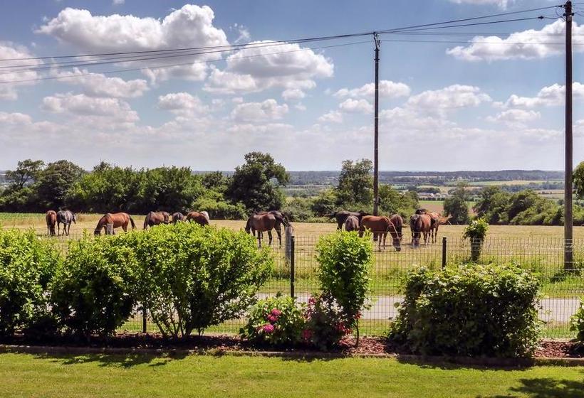 Les Mystères D Omaha Beach