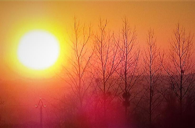 Les Mystères D Omaha Beach