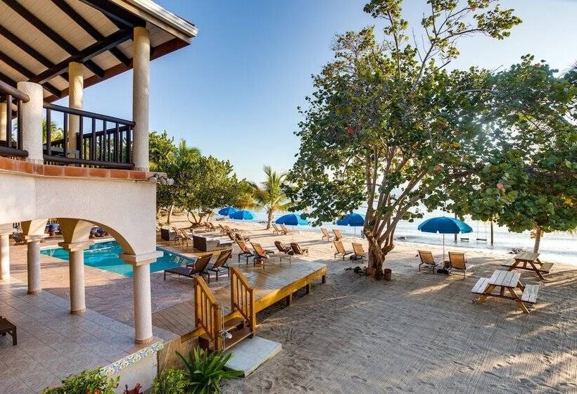 בית מלון כפרי Mariposa Belize Beach Resort