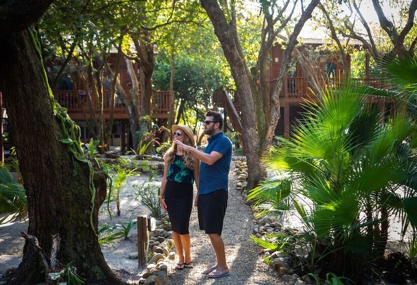 בית מלון כפרי Mariposa Belize Beach Resort