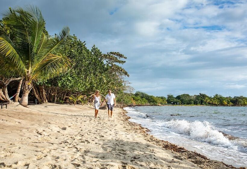 בית מלון כפרי Mariposa Belize Beach Resort