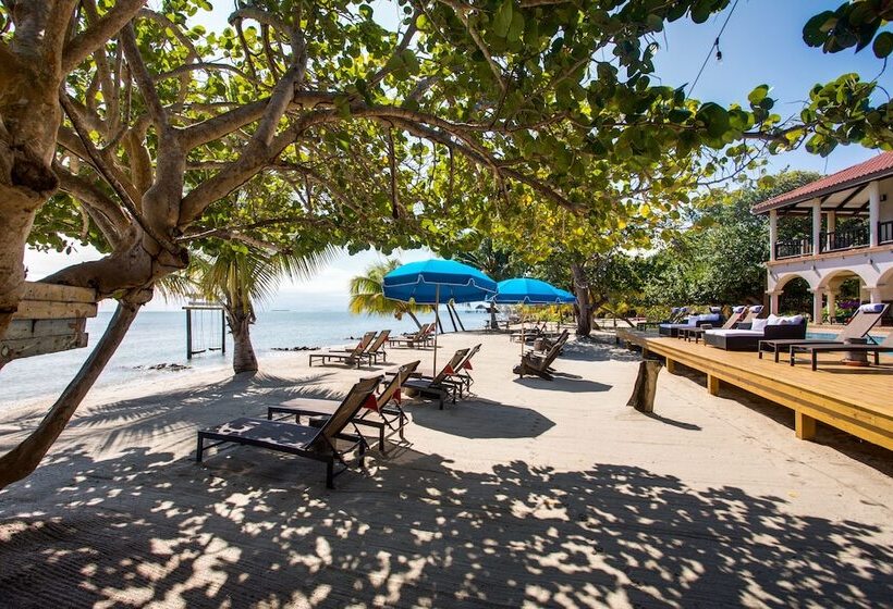 בית מלון כפרי Mariposa Belize Beach Resort