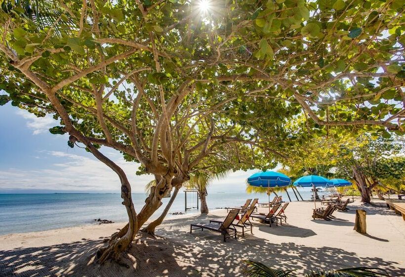בית מלון כפרי Mariposa Belize Beach Resort