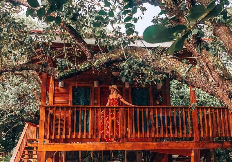 בית מלון כפרי Mariposa Belize Beach Resort