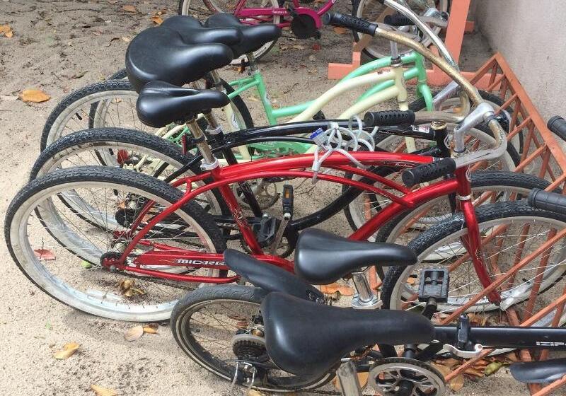 בית מלון כפרי Mariposa Belize Beach Resort