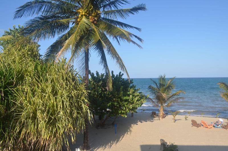 בית מלון כפרי Mariposa Belize Beach Resort